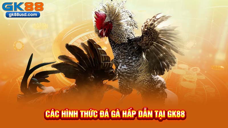 Các Hình Thức Đá Gà Hấp Dẫn Tại GK88